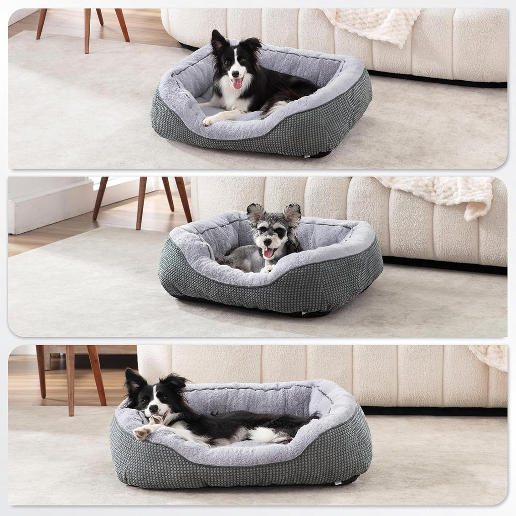 Calm paws anti-anxiety dog relief