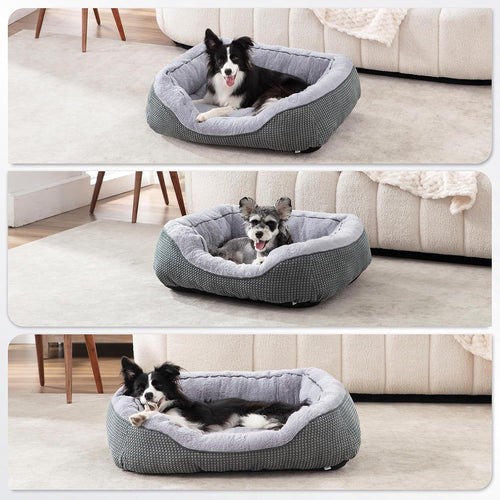 Calm paws anti-anxiety dog relief