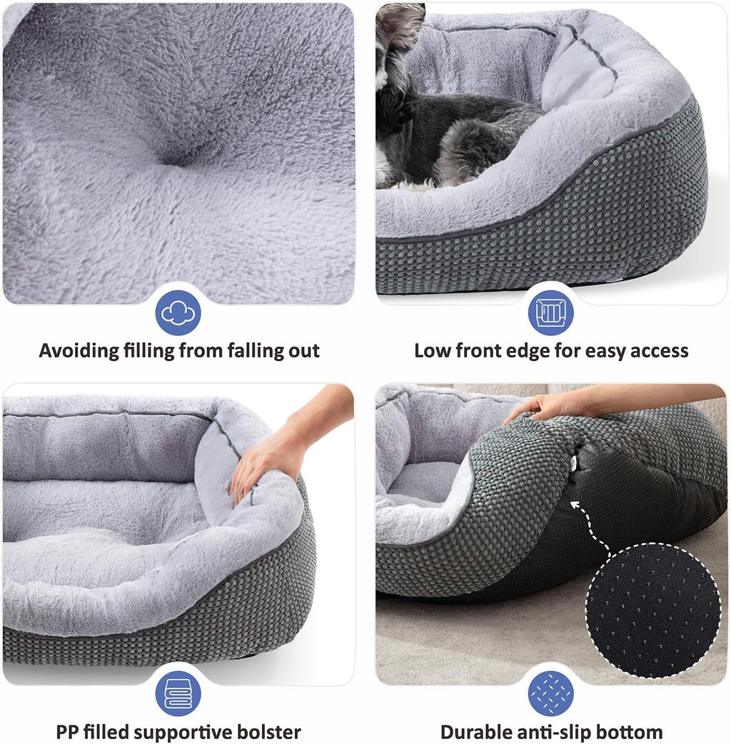 Calm paws anti-anxiety dog relief