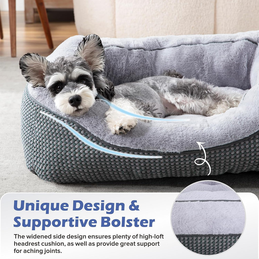 Calm paws anti-anxiety dog relief