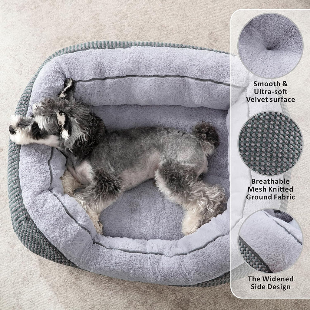 Calm paws anti-anxiety dog relief
