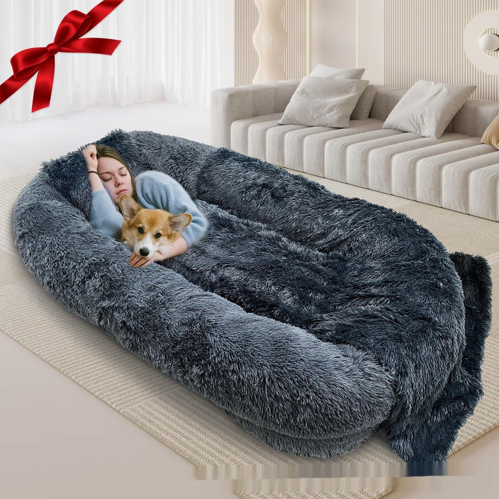 Calm Paws Sofa Feel The Comfort With Your DOG