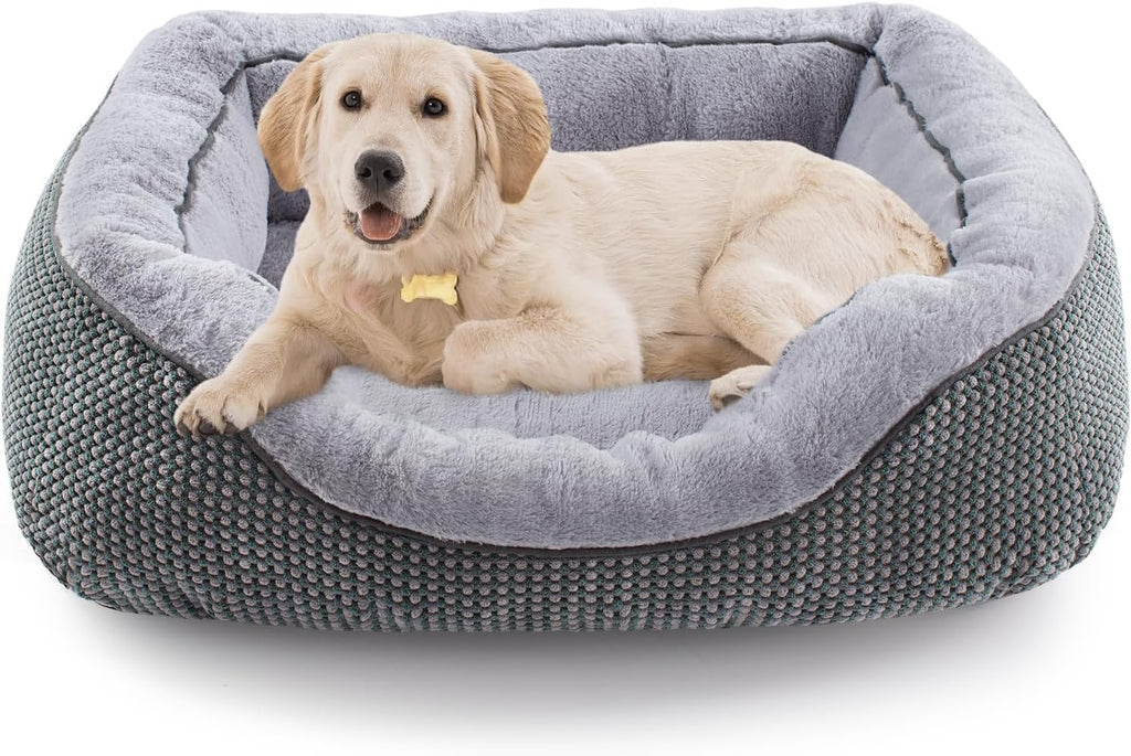 Calm paws anti-anxiety dog relief