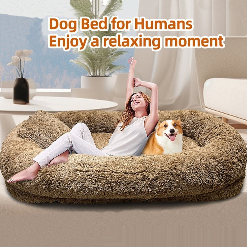 Calm Paws Sofa Feel The Comfort With Your DOG