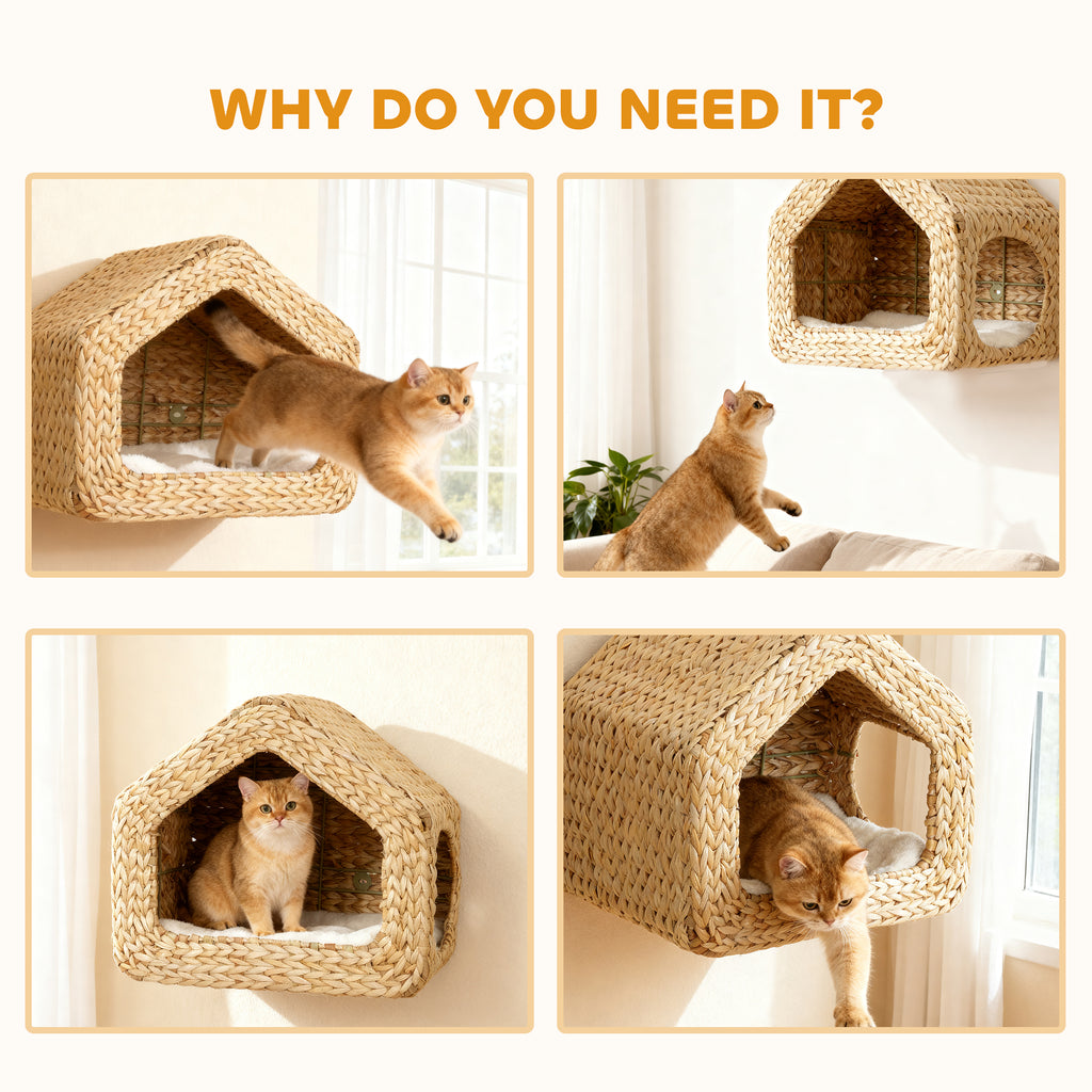 The Cloud Crate™ — Wall-Mounted Seagrass Cat Sanctuary