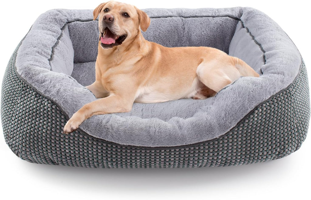 Calm paws anti-anxiety dog relief