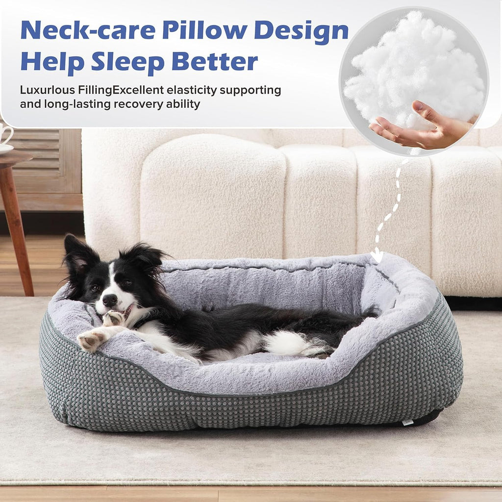 Calm paws anti-anxiety dog relief